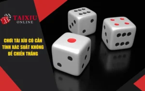Chơi Tài Xỉu Có Cần Tính Xác Suất Không Để Chiến Thắng
