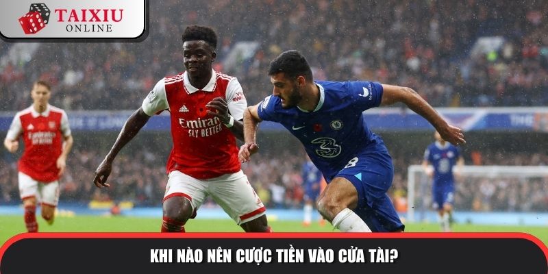 Khi nào nên cược tiền vào cửa tài?